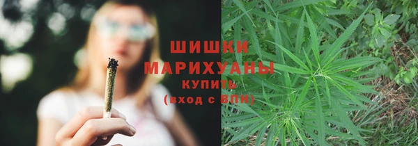 сатива Мегион