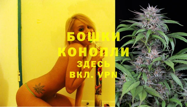 твердый Медвежьегорск