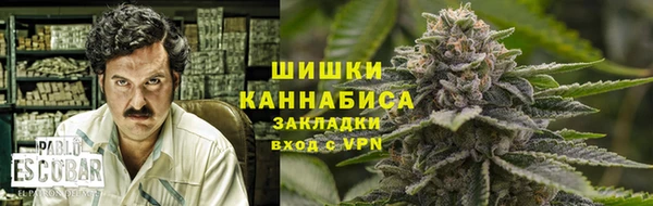 сатива Мегион