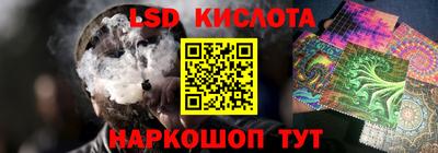 ГАЛЛЮЦИНОГЕННЫЕ ГРИБЫ Кингисепп