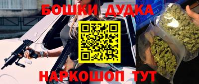 ГАЛЛЮЦИНОГЕННЫЕ ГРИБЫ Кингисепп