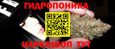 хмурый Кинель