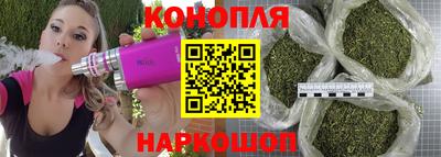 ГАЛЛЮЦИНОГЕННЫЕ ГРИБЫ Кингисепп